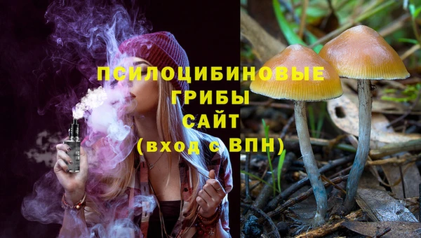 прущая мука Корсаков