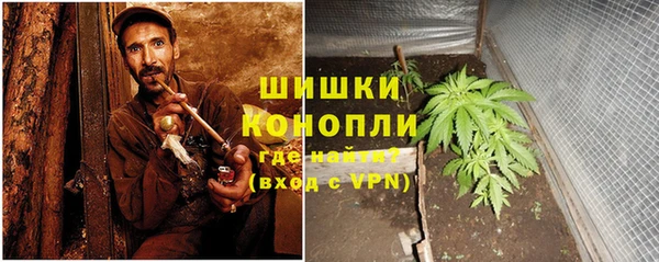 прущая мука Корсаков
