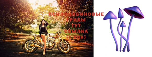 мескалин Коряжма