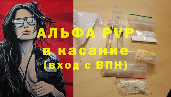 прущая мука Корсаков
